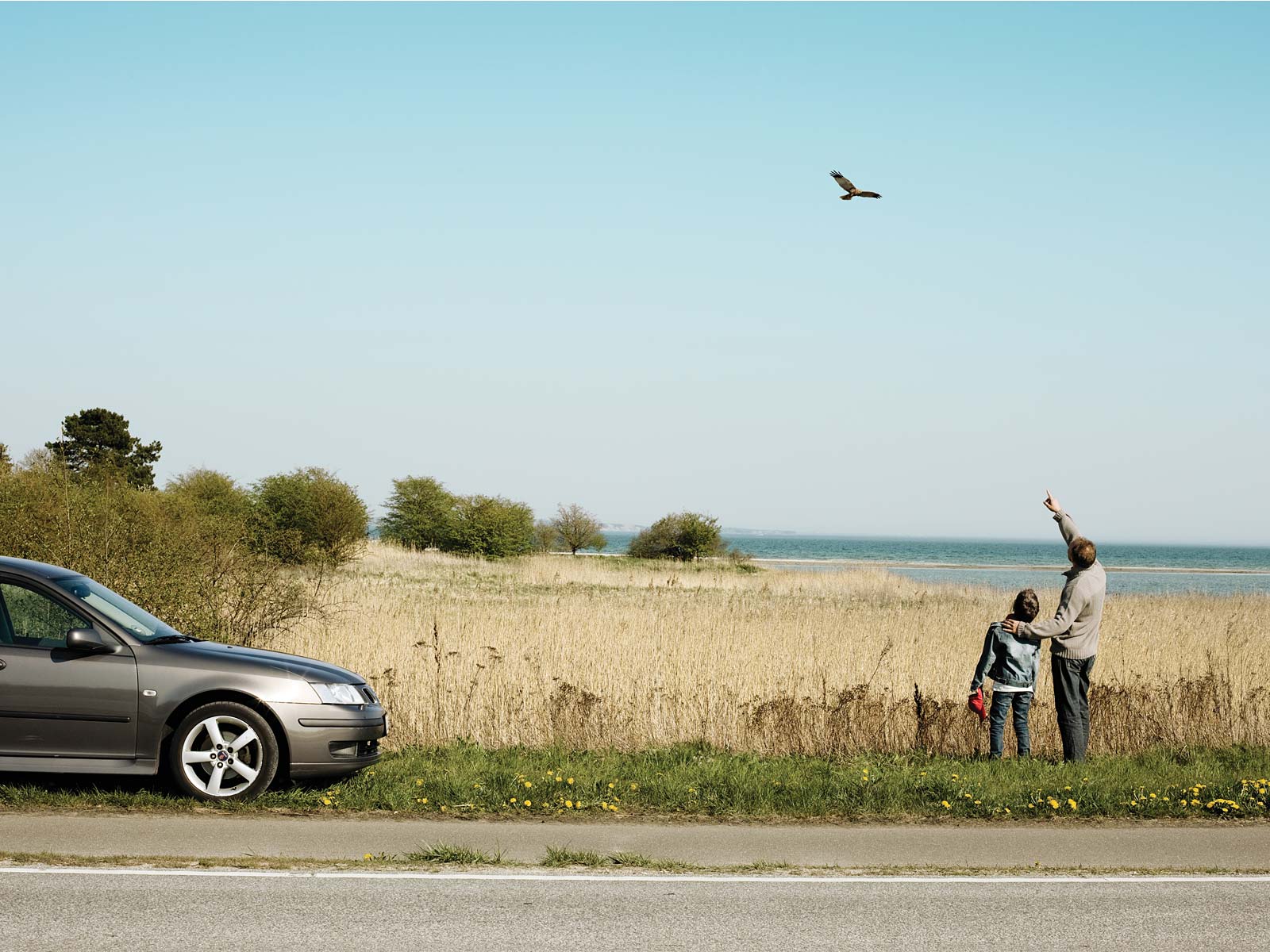 Bil parkeret ved eng