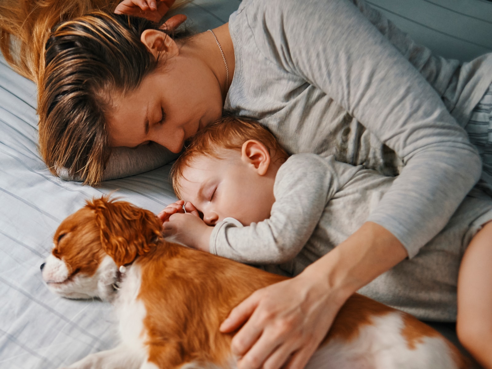 Familie sover