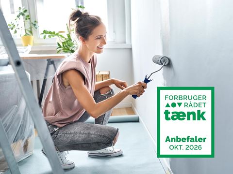Pige med malerrulle