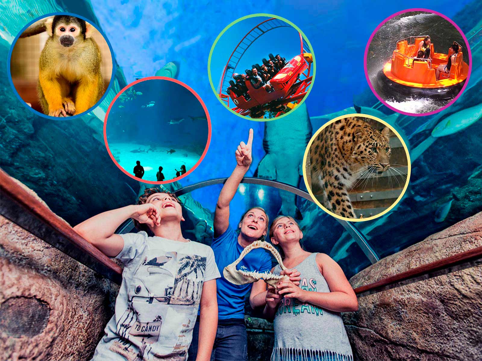 Sjov for hele familien med rabat!