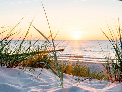 Sommerferie på stranden
