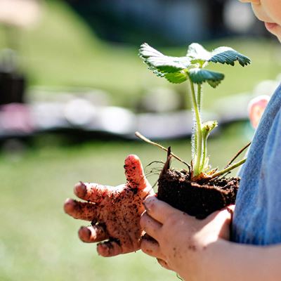 Barn-med-plante
