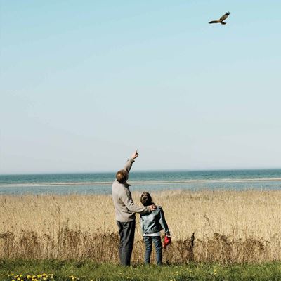 Bedstefar og barnebarn på eng