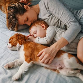 Familie-sover