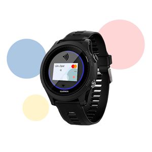 GarminPay