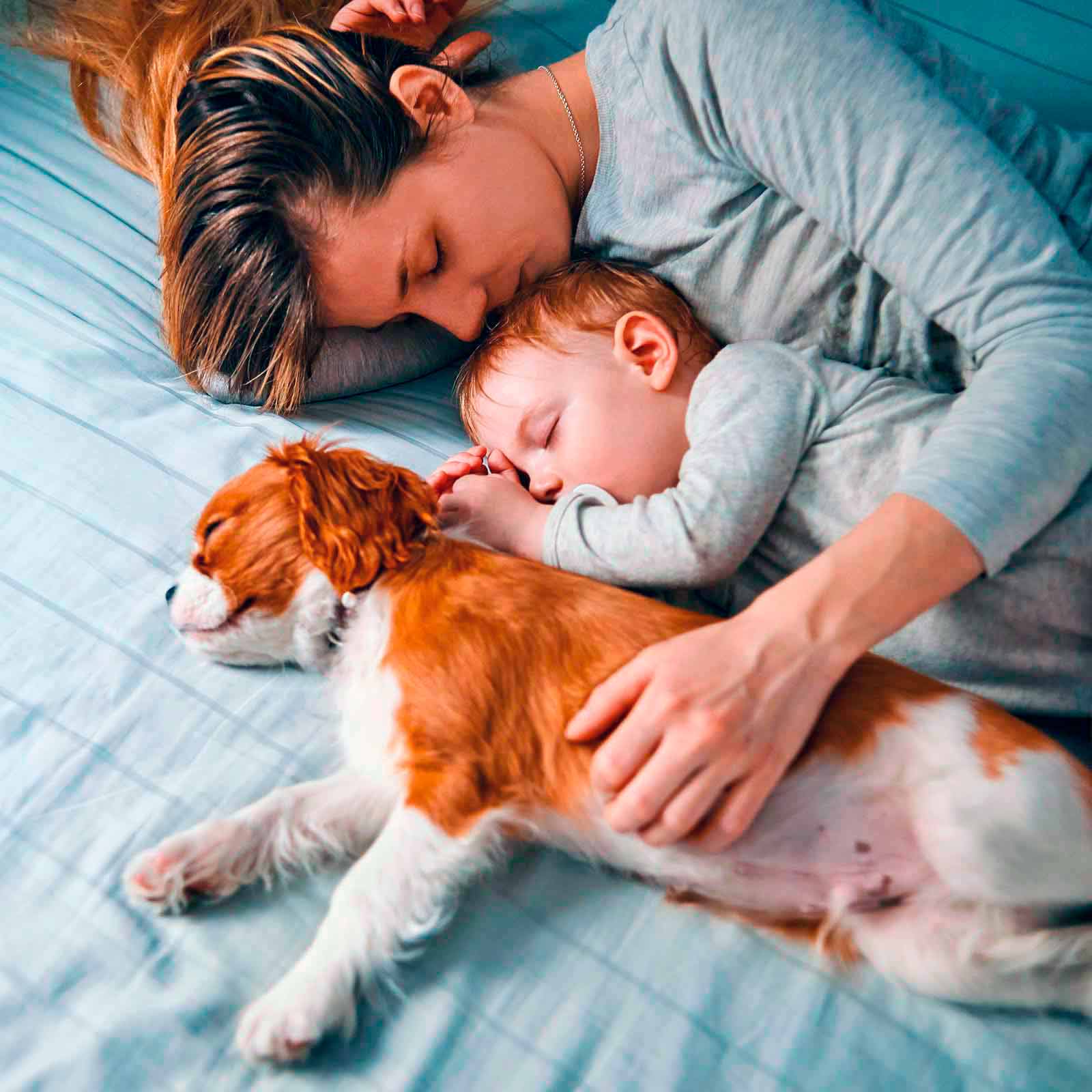 Mor, barn og hund sover