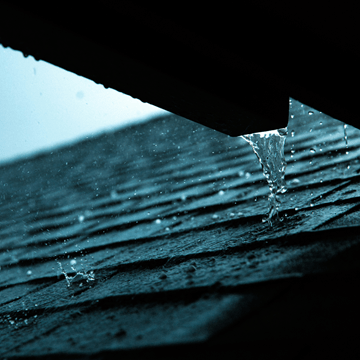 Regn på tag
