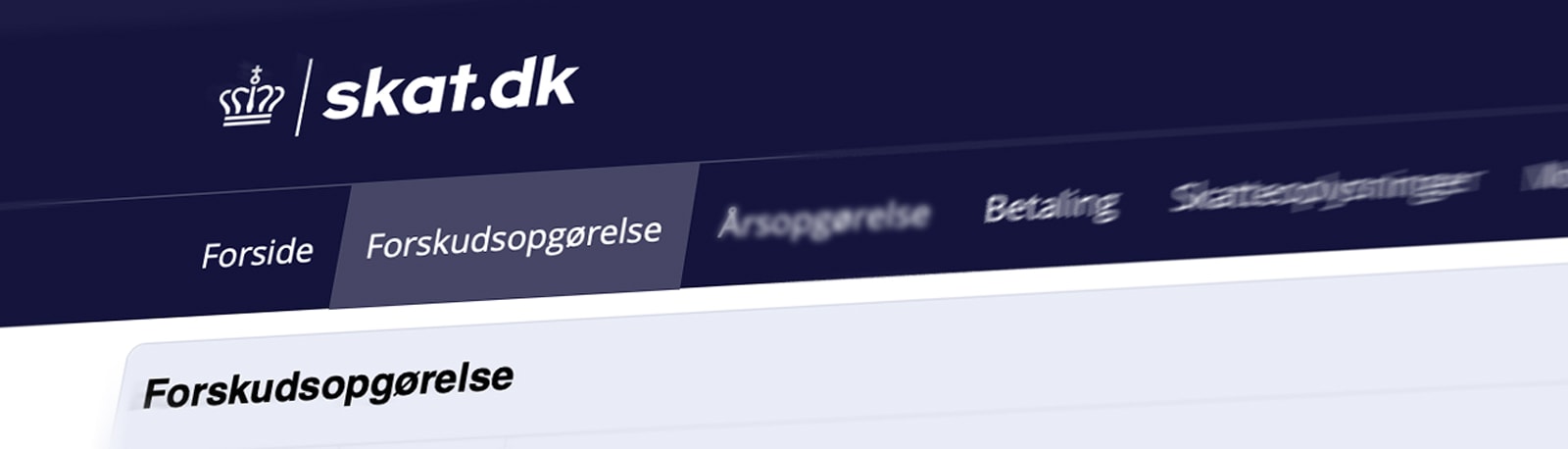 Forskudsopgørelse 2024