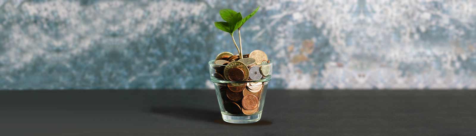 Pengeplante
