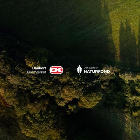 Dankort Øremærket grafik