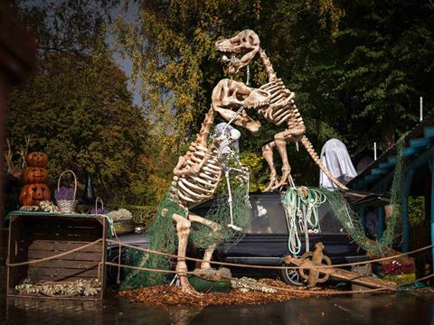 Billede af dinosaurskeletter fra Aalborg Zoo