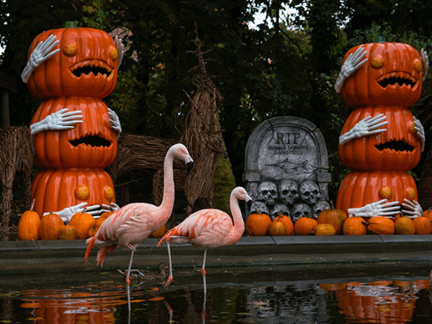 Aalborg Zoo