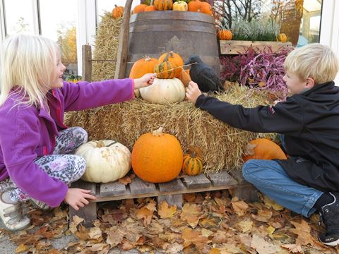 Billede af to børn med græskar i Givskud