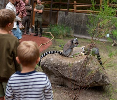 Aalborg Zoo