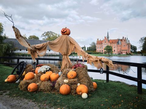 Billede af græskar og fugleskræmsel ved Egeskov slot
